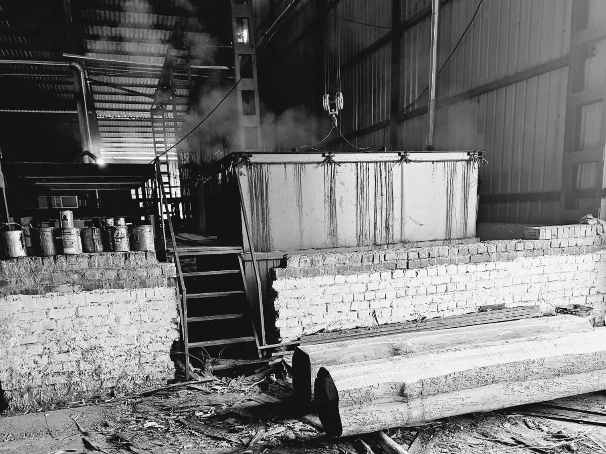 Logs beside the steamers, steam rising